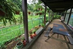 Blk 467 Segar Road (Bukit Panjang), HDB 4 Rooms #192951582